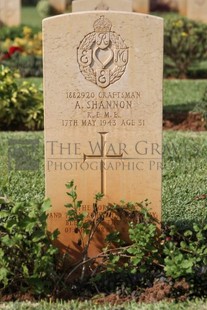 BEIRUT WAR CEMETERY - SHANNON, ALEXANDER